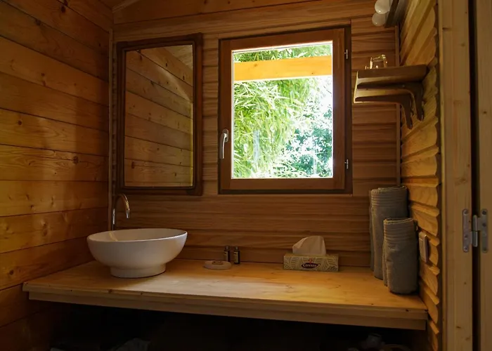 Bambou Fronsac (Gironde)